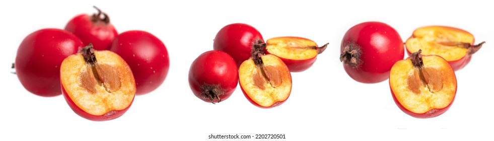 Hawthorn Slice Berry Isolated On White Background Close-up.