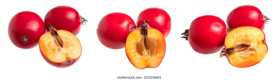 Hawthorn Slice Berry Isolated On White Background Close-up.