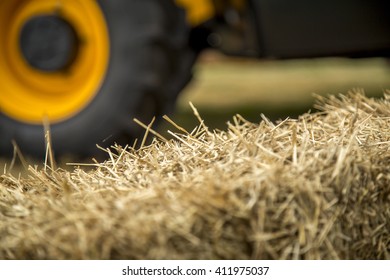 hay