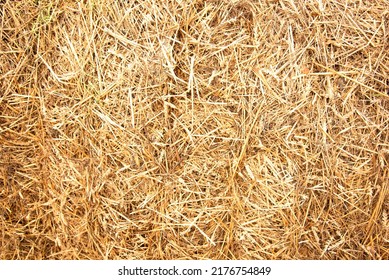 Hay background. Haystacks background, texture. Wheat gold hay in field. Hay prepared for farm animal feed in winter. Stacks dry hay open air fiel. Straw bale harvesting. Haybale background - Shutterstock ID 2176754849