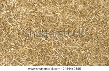 Hay Background, Straw Pattern, Thatch Texture, Dry Golden Grass Mockup, Dry Baled Hay Bales Stacks Banner, Straw Texture with Copy Space for Text