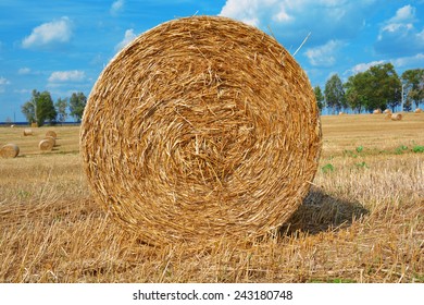 Hay Bail Harvesting