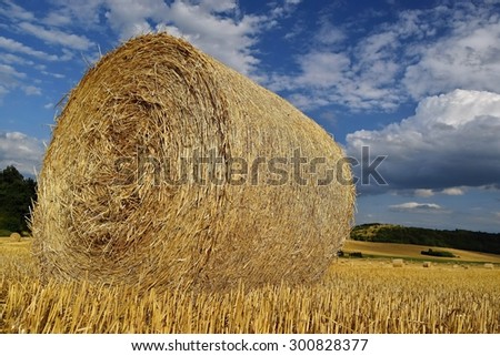 Similar – Image, Stock Photo straw bale Straw