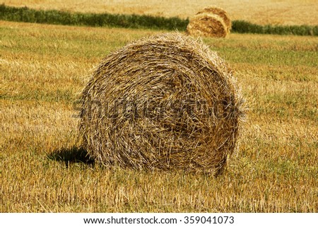 Similar – Image, Stock Photo straw bale Straw