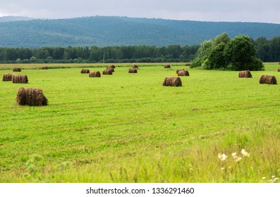 Bale Spring Images Stock Photos Vectors Shutterstock