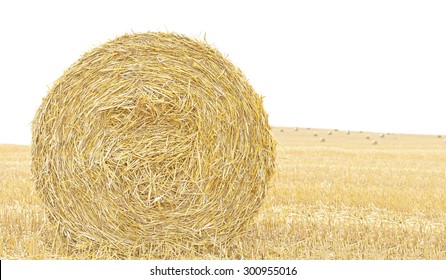 7,297 Hay Bale Isolated Images, Stock Photos & Vectors | Shutterstock