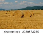 hay bale in naure and sky