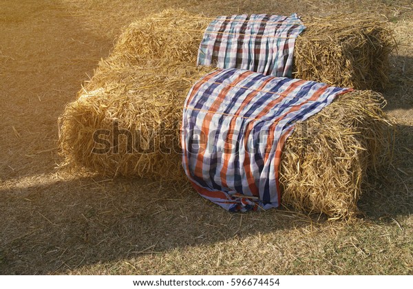 Hay Bale Seats Colorful Cloth Covers Stock Photo Edit Now