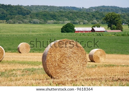 Hay Bales