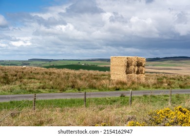 Hay Bales Alongside A Country Road In The Northumberland National Park, UK. 