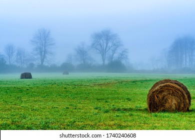 Hay Bales In Autumn Fog, Nicholas County, West Virginia