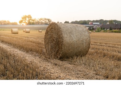 Hay bales (hay balls, haycock or haystack) on a farm field. Straw bales on agriculture field. Rural farm land nature, Countryside landscape after harvest. - Powered by Shutterstock