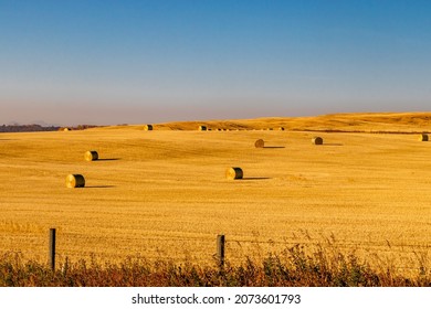 Hay Bales In A Fall Harvested Field. Rockyview County, Alberta, Canada