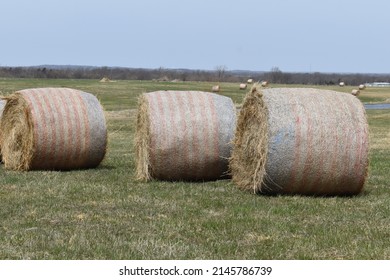 Hay bales in a farm field