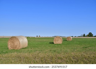 Hay bales in a farm field - Powered by Shutterstock