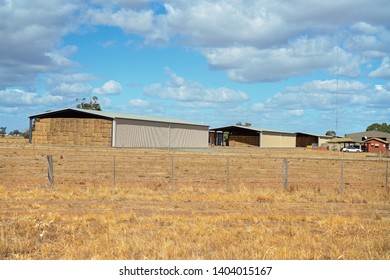 Hay bales to feed cattle stored in large sheds by the roadside in rural Australia