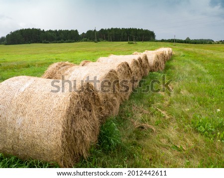 Hay bales in a field in a drizzling rain