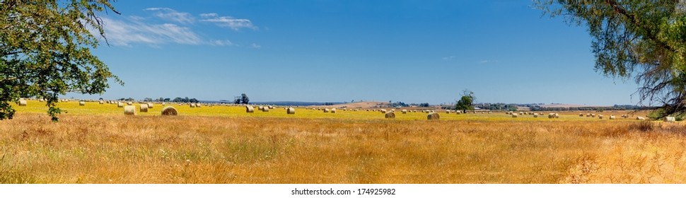 Hay Bales On An Australian Farm In Victoria