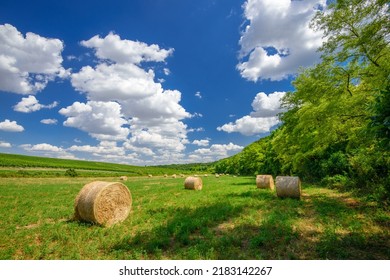 Hay bales on the farmfield near the forest, Hungary.