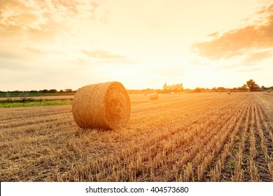 Hay Bales In Field Images Stock Photos Vectors Shutterstock