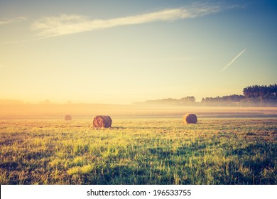 hay bales on foggy morning on meadow. sunrise landscape photo with vintage effect - Powered by Shutterstock