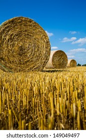 Hay Bales On Garin Field 