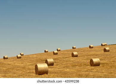 Hay bales on sloping pasture