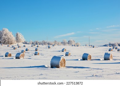 Hay Bales On A Winter Field