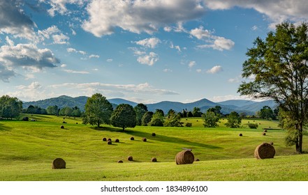Hay bales in pasture on horse farm in shadow of the Blue Ridge Mountains in central Virginia near Charlottesville.