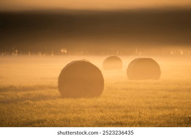 Hay bales scattered in an open field with mist and a golden sunrise providing soft light. - Powered by Shutterstock