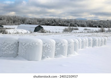 Hay bales in a snow covered winter field Bromont Quebec Canada - Powered by Shutterstock