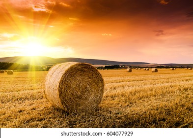 25 Free CC0 Bale of hay Stock Photos 