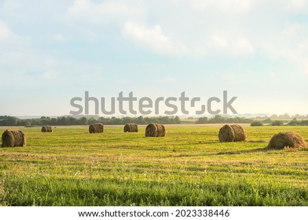 Hay bales in the sunset. Countryside natural landscape with hay bail harvesting in golden field landscape. Rural scene agriculture field with sky. Hay roll on meadow against sunset background
