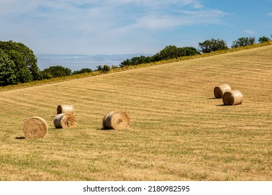 Hay Bales in the Sussex Countryside on a Sunny Summer's Day