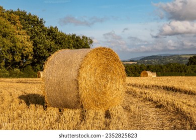 Hay bales in the Sussex countryside on a sunny summer's evening - Powered by Shutterstock