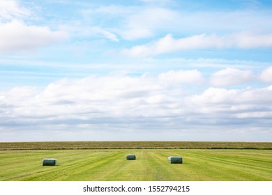 Hay Bales In A Vast Green Meadow, With A Broad Perspective And A Straight Horizon.