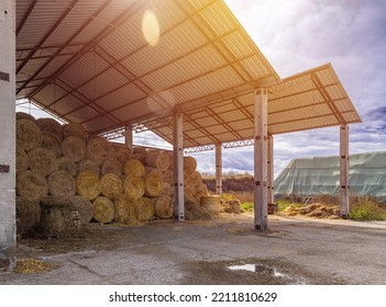 Hay Barn With Stacked Straw Bales In A Cattle Farm. Farmyard Storage Concept