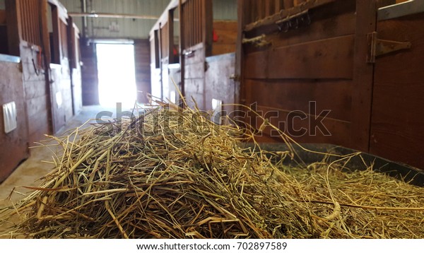 Hay Barrow Horse Stables Sun Spilling Stock Photo Edit Now 702897589