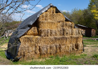 The Hay In The Blocks Is Covered With A Protective Plastic Film. Storage Of Animal Feed. Agricultural Industry