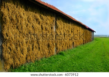 Similar – heavily overgrown building, of which only the roof is still visible