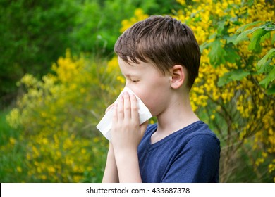 Hay Fever - Allergic Rhinitis In Children