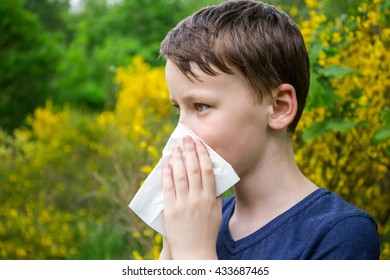 Hay Fever Allergic Rhinitis Children Stock Photo 433687465 | Shutterstock