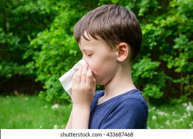 Hay Fever Allergic Rhinitis Children Stock Photo (Edit Now) 433687468