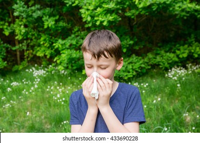 Hay Fever Allergic Rhinitis Children Stock Photo 433690228 | Shutterstock