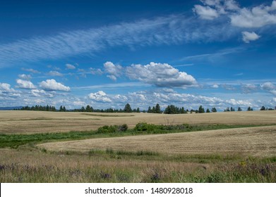 Hay Fields Ion Palouse, Idaho