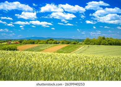 Hay fields under cloudy sky view, agricultural landscape of Prigorje region of Croatia