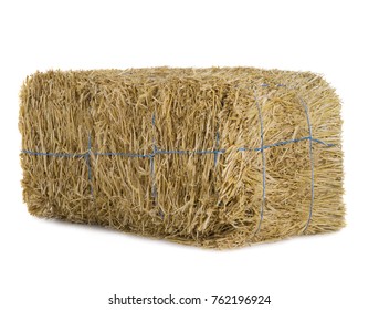 Hay Isolated On A White Background