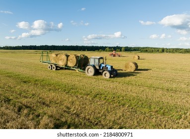 Hay Making In Autumn Season. Farmer Loading Round Bales Of Straw From Hay Trailer With A Front End Loader. Store Hay At Farm. Hay Rolls As Forage Feed For Livestock.