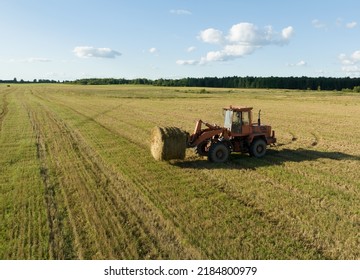 Hay Making In Autumn Season. Farmer Loading Round Bales Of Straw From Hay Trailer With A Front End Loader. Store Hay At Farm. Hay Rolls As Forage Feed For Livestock.