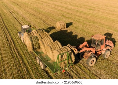 Hay Making. Front End Loader Loads Round Bales Of Straw From Hay Trailer. Storage Hay At Farm. Hay Rolls As Forage Feed For Livestock. Winter Wheat Planting, Autumn Grain Harvest, Drone View. 